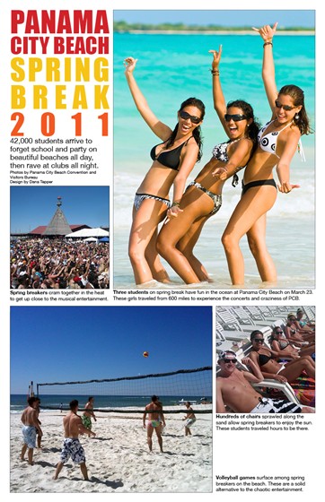 Graphic Design: PCB Photo Layout