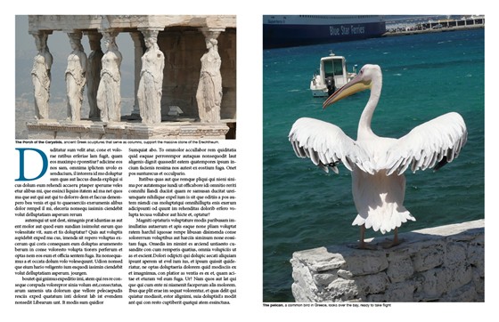 Graphic Design: Magazine Spread